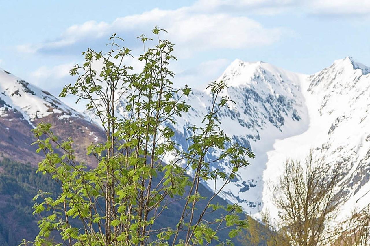 Snowbird Chalet #8 Girdwood Exterior foto